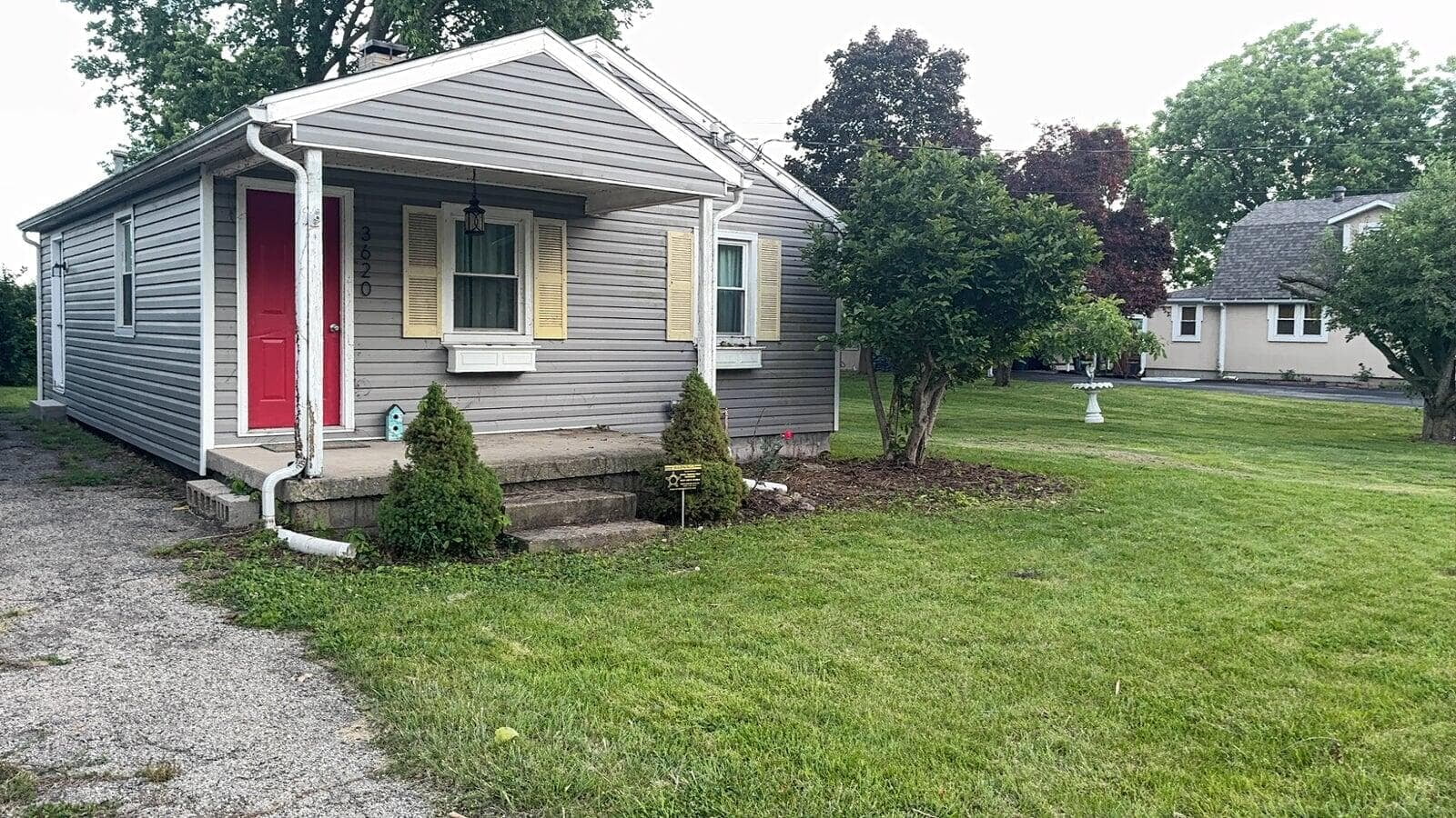 House Clean-up